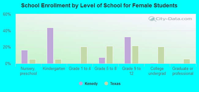 School Enrollment by Level of School for Female Students