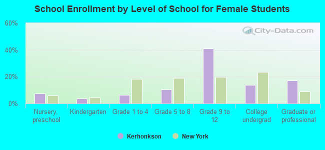 School Enrollment by Level of School for Female Students