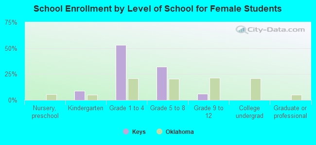 School Enrollment by Level of School for Female Students