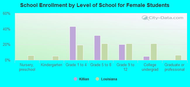 School Enrollment by Level of School for Female Students