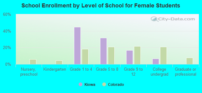 School Enrollment by Level of School for Female Students