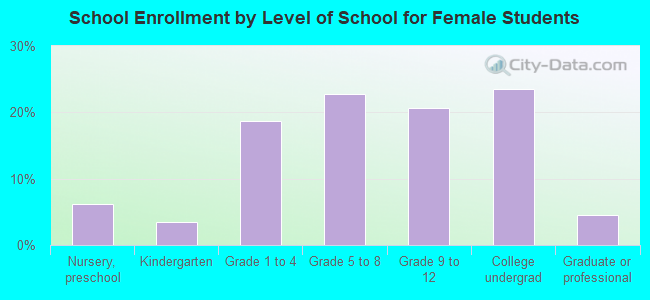 School Enrollment by Level of School for Female Students