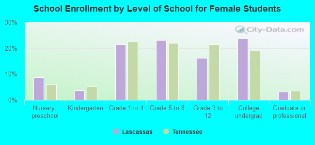 School Enrollment by Level of School for Female Students