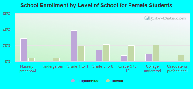 School Enrollment by Level of School for Female Students