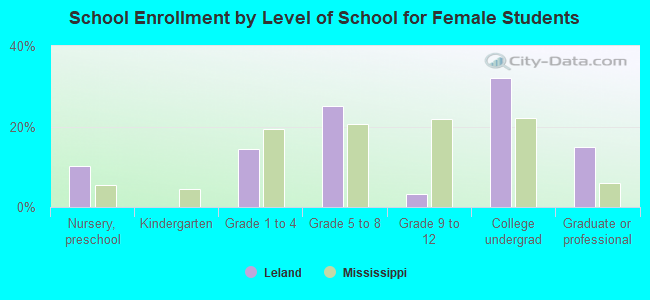 School Enrollment by Level of School for Female Students