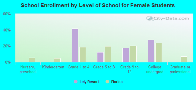 School Enrollment by Level of School for Female Students