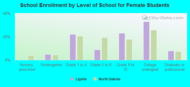 School Enrollment by Level of School for Female Students