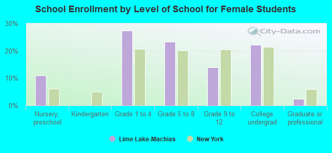 School Enrollment by Level of School for Female Students