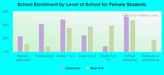 School Enrollment by Level of School for Female Students