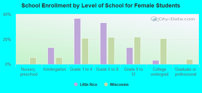 School Enrollment by Level of School for Female Students