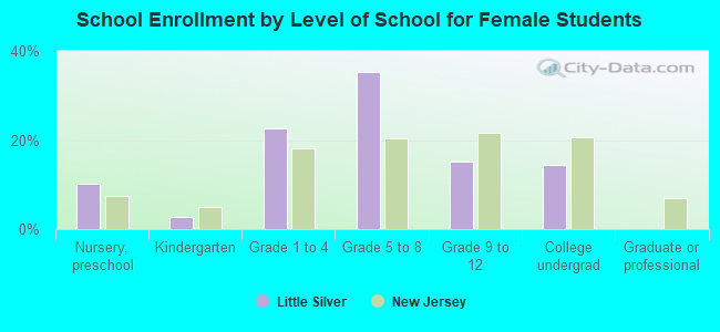 School Enrollment by Level of School for Female Students