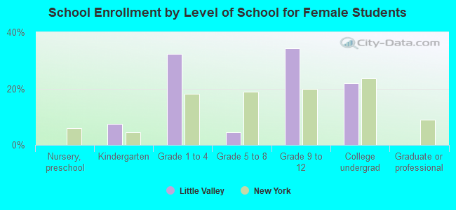 School Enrollment by Level of School for Female Students