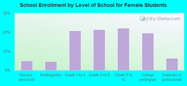 School Enrollment by Level of School for Female Students