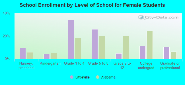 School Enrollment by Level of School for Female Students