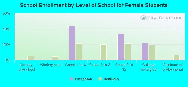 School Enrollment by Level of School for Female Students