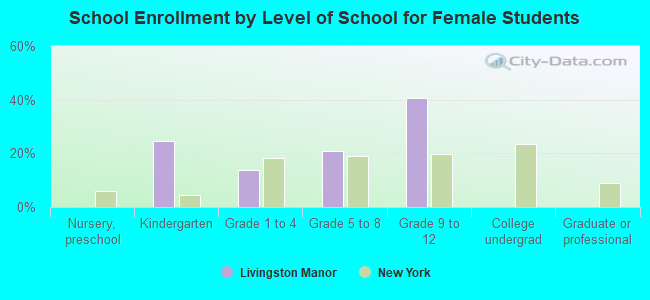 School Enrollment by Level of School for Female Students