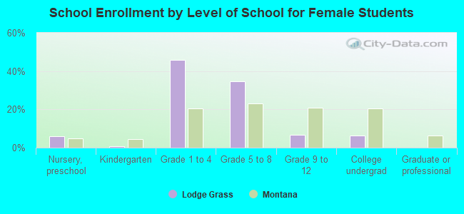 School Enrollment by Level of School for Female Students