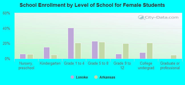 School Enrollment by Level of School for Female Students