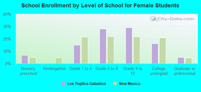 School Enrollment by Level of School for Female Students