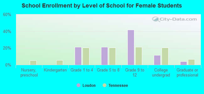 School Enrollment by Level of School for Female Students