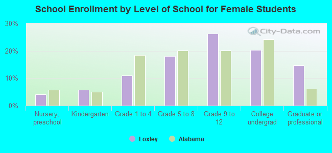 School Enrollment by Level of School for Female Students