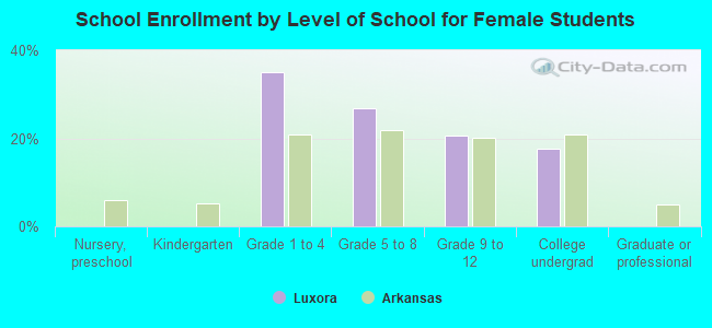 School Enrollment by Level of School for Female Students