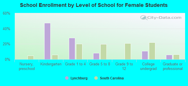 School Enrollment by Level of School for Female Students