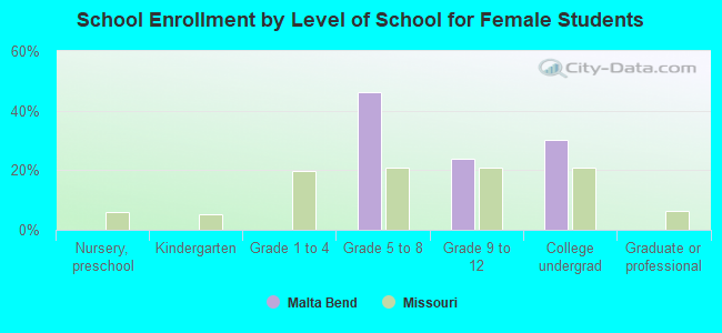 School Enrollment by Level of School for Female Students