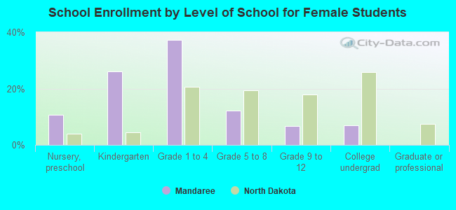 School Enrollment by Level of School for Female Students