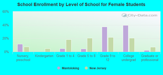 School Enrollment by Level of School for Female Students