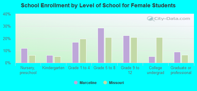 School Enrollment by Level of School for Female Students