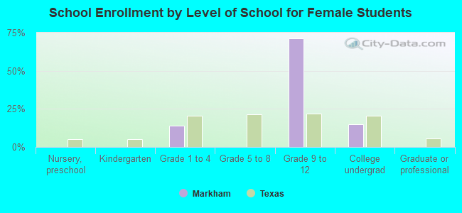 School Enrollment by Level of School for Female Students