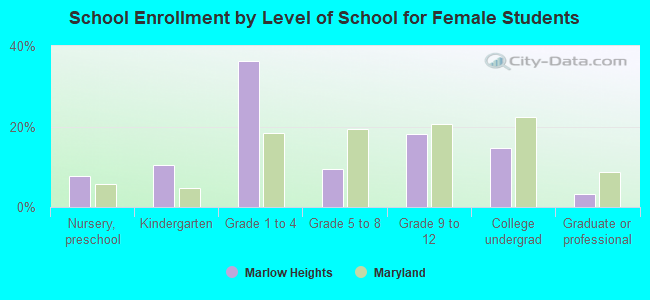 School Enrollment by Level of School for Female Students