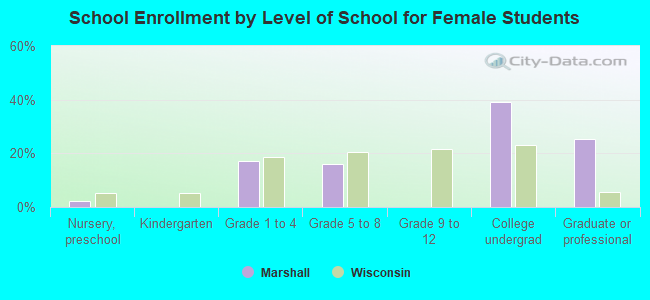 School Enrollment by Level of School for Female Students