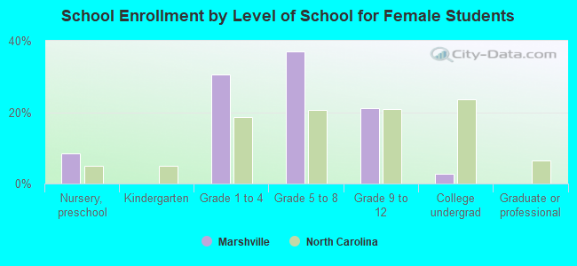 School Enrollment by Level of School for Female Students