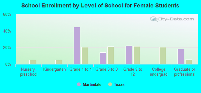 School Enrollment by Level of School for Female Students