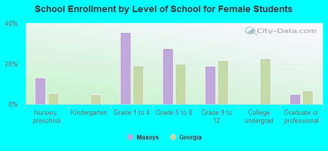 School Enrollment by Level of School for Female Students