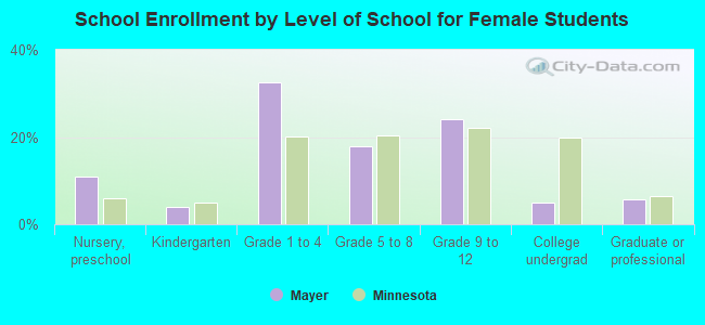 School Enrollment by Level of School for Female Students