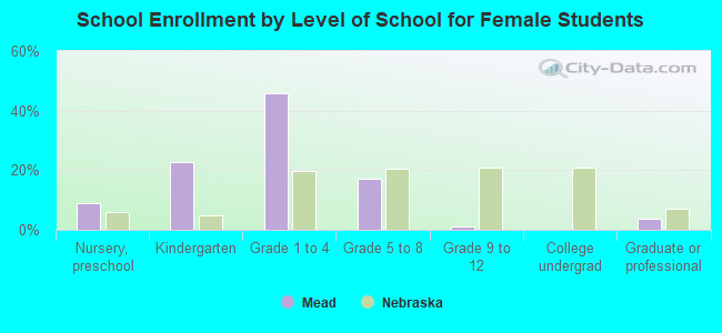 School Enrollment by Level of School for Female Students