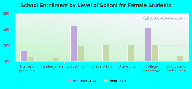 School Enrollment by Level of School for Female Students