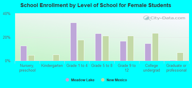 School Enrollment by Level of School for Female Students