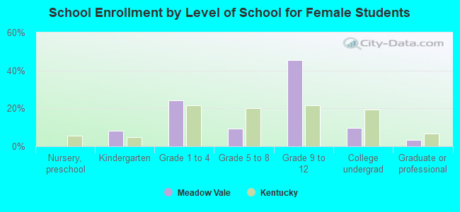 School Enrollment by Level of School for Female Students