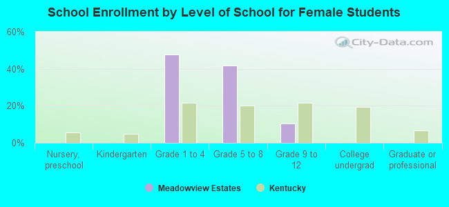 School Enrollment by Level of School for Female Students