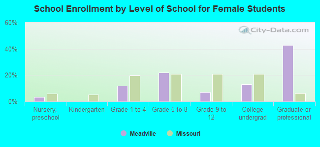 School Enrollment by Level of School for Female Students