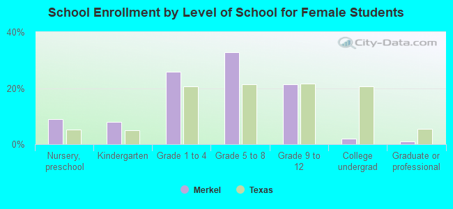 School Enrollment by Level of School for Female Students