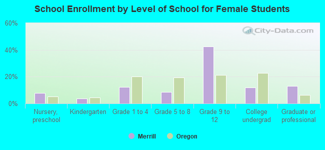 School Enrollment by Level of School for Female Students