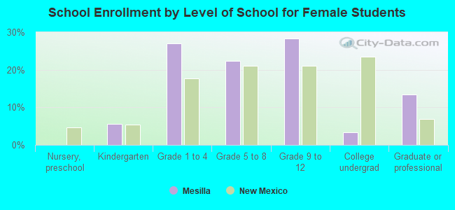 School Enrollment by Level of School for Female Students