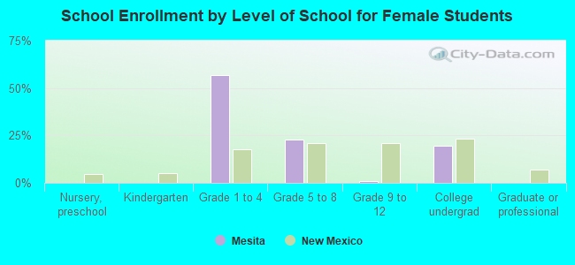 School Enrollment by Level of School for Female Students