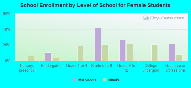 School Enrollment by Level of School for Female Students