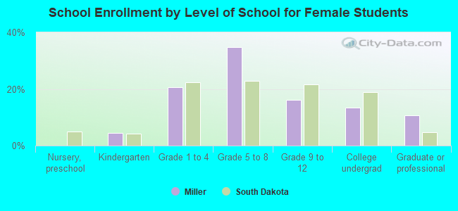 School Enrollment by Level of School for Female Students